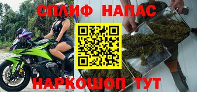 СК Ставрополь