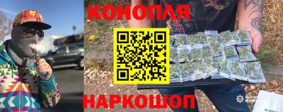 СК Ставрополь