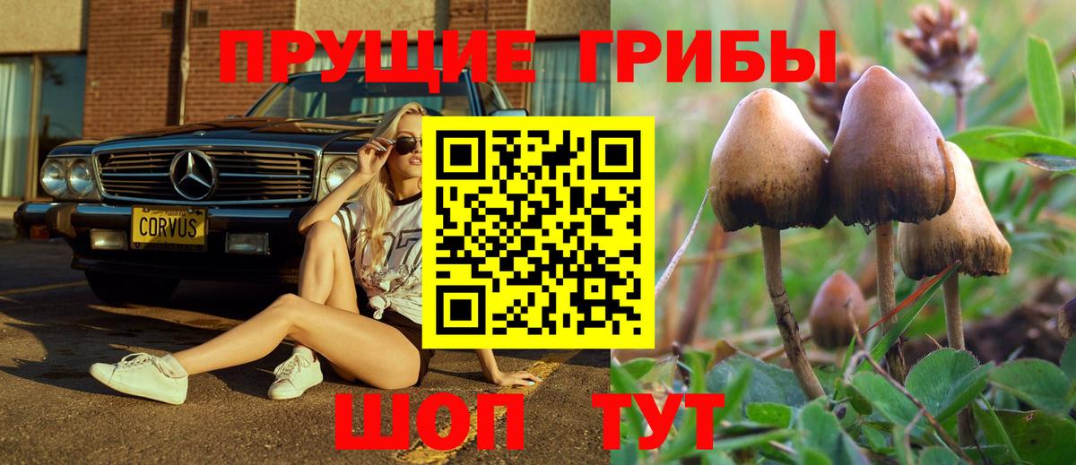 Псилоцибиновые грибы Psilocybine cubensis  Вход с VPN  Серпухов 